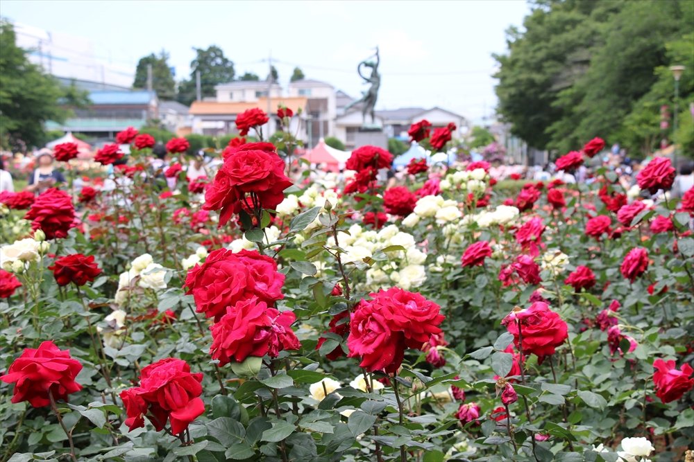 🌸 반노스 공원(반노스 코엔) 이미지 10